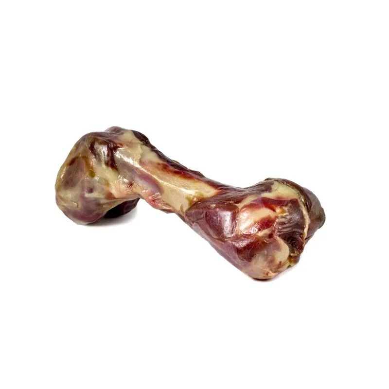 Hueso femur natural de porcino