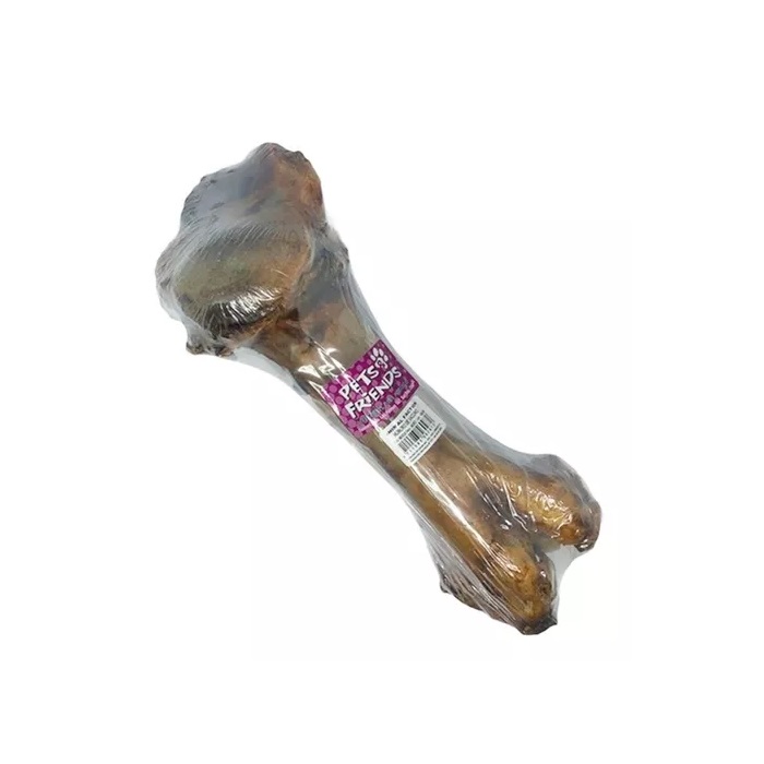 Hueso femur mediano pets friends